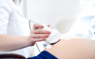 Kurs „Wady płodu” – Włocławek, listopad 2024